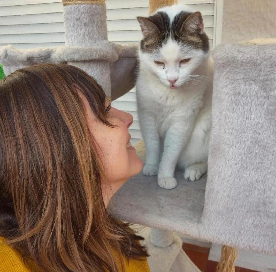 Eva administrando medicación a un gato durante una visita