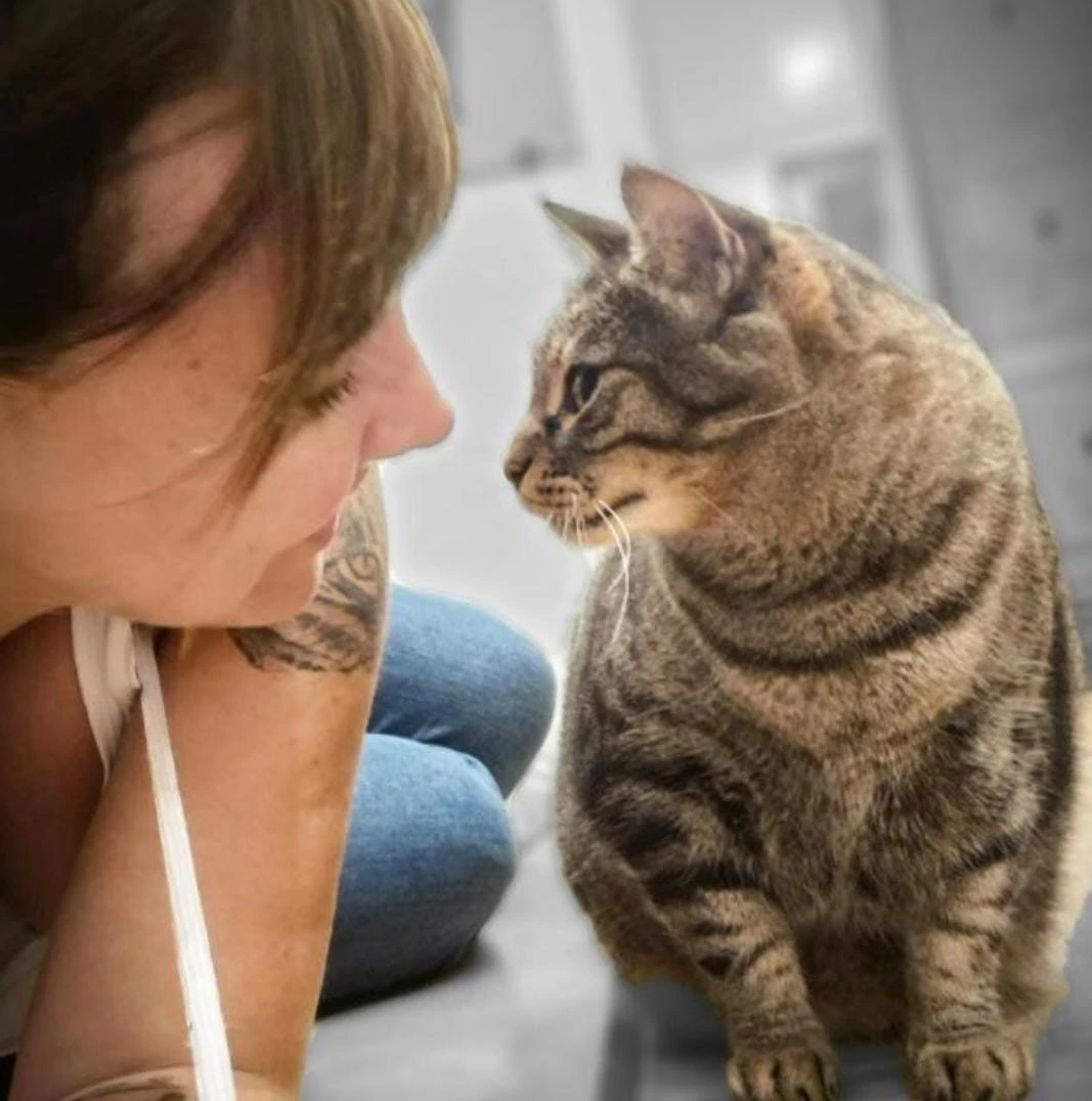 Catsitter Eva atendiendo a un gato en Castelldefels